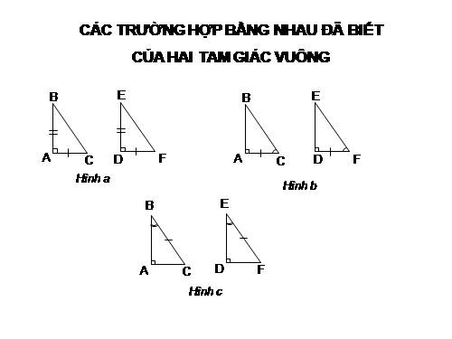 Chương II. §8. Các trường hợp bằng nhau của tam giác vuông