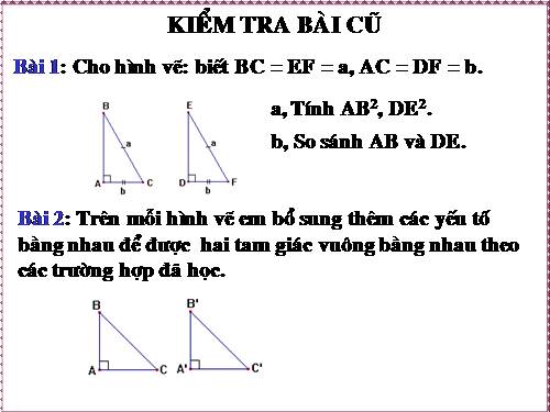 Chương II. §8. Các trường hợp bằng nhau của tam giác vuông