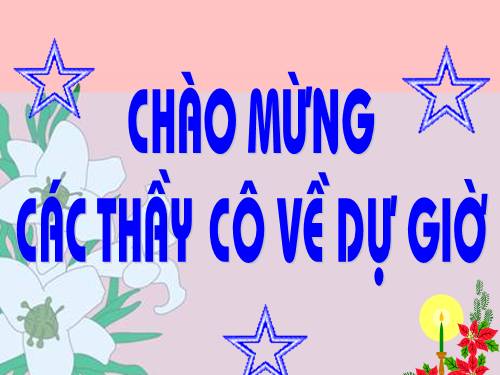 Các bài Luyện tập