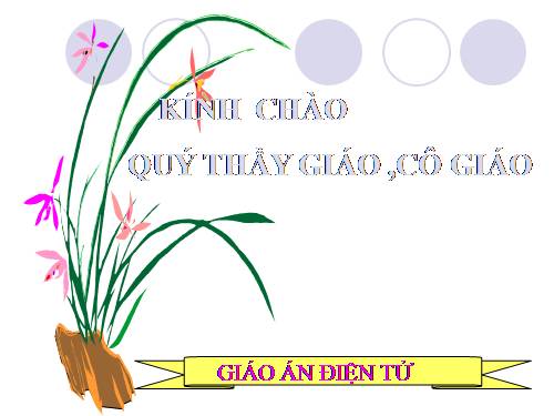 Chương II. §1. Tổng ba góc của một tam giác