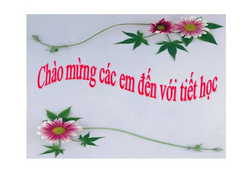 Chương II. §1. Tổng ba góc của một tam giác