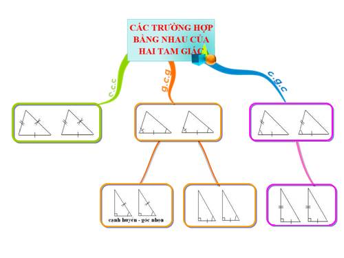 Các bài Luyện tập