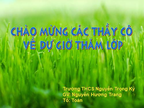 Các bài Luyện tập