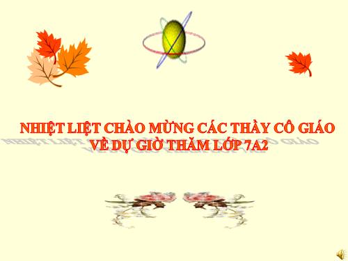 Các bài Luyện tập