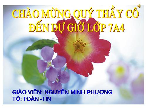 Ôn tập Chương II. Tam giác