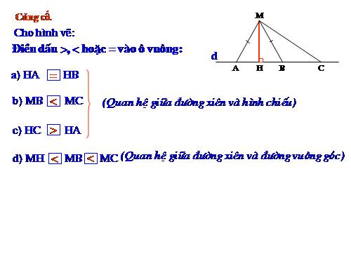 Các bài Luyện tập