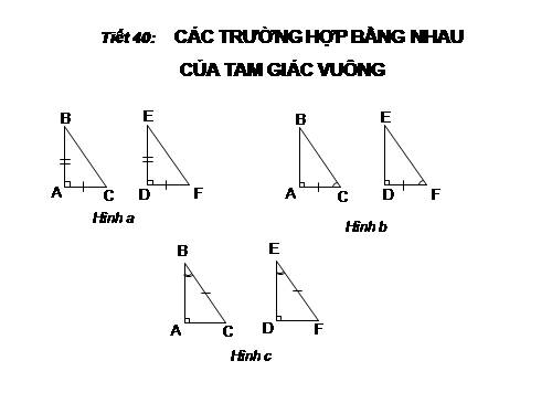 Chương II. §8. Các trường hợp bằng nhau của tam giác vuông