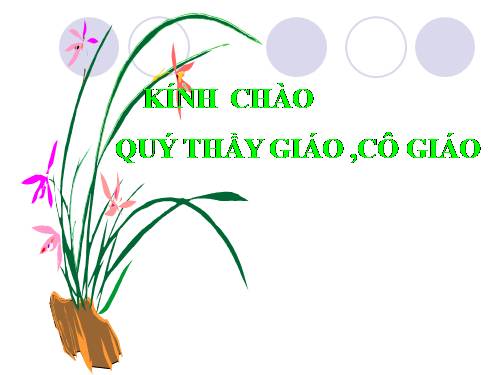 Chương II. §1. Tổng ba góc của một tam giác