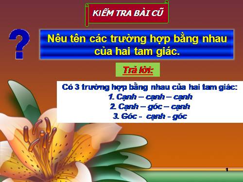 Chương II. §8. Các trường hợp bằng nhau của tam giác vuông