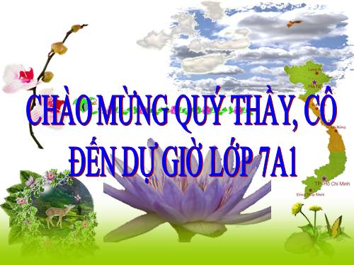 Chương II. §1. Tổng ba góc của một tam giác