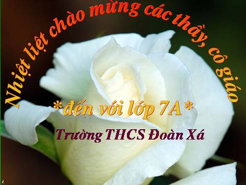 Chương II. §5. Trường hợp bằng nhau thứ ba của tam giác: góc-cạnh-góc (g.c.g)