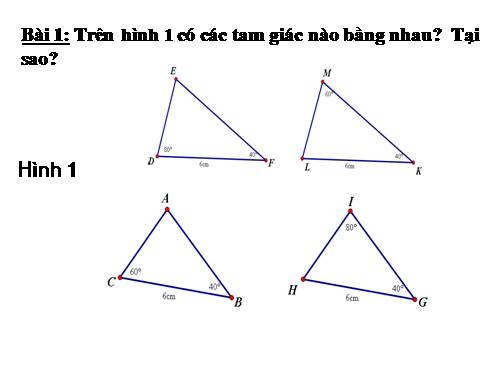 Các bài Luyện tập