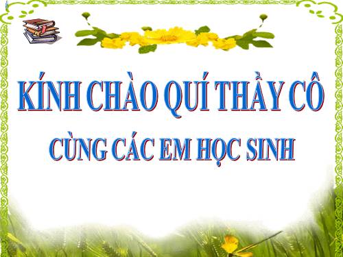 Chương II. §2. Hai tam giác bằng nhau