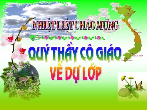 Chương II. §1. Tổng ba góc của một tam giác