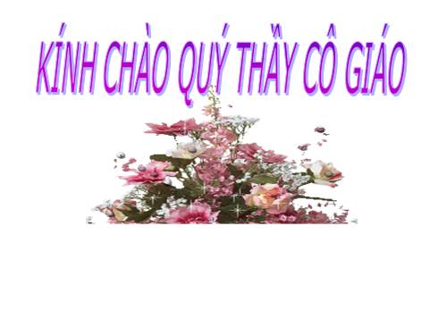 Chương II. §1. Tổng ba góc của một tam giác