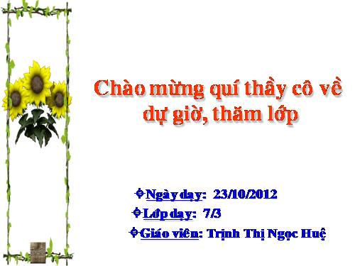 Chương II. §1. Tổng ba góc của một tam giác