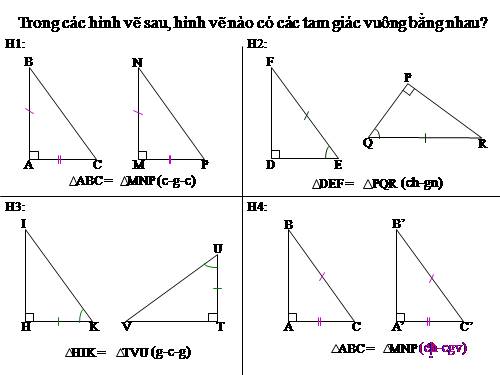 Chương II. §8. Các trường hợp bằng nhau của tam giác vuông