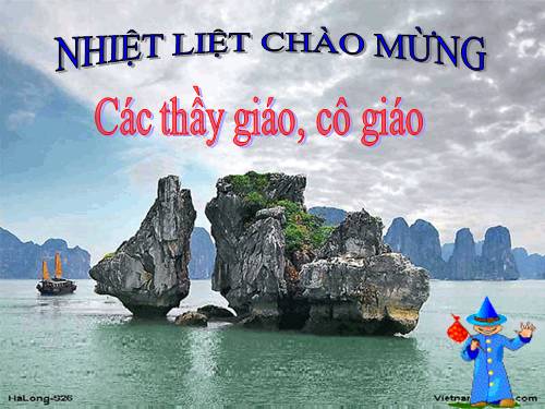 Các bài Luyện tập