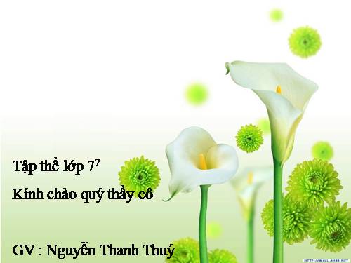 Chương II. §1. Tổng ba góc của một tam giác