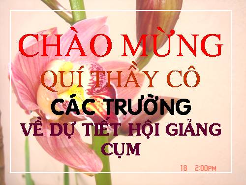 Chương II. §5. Trường hợp bằng nhau thứ ba của tam giác: góc-cạnh-góc (g.c.g)