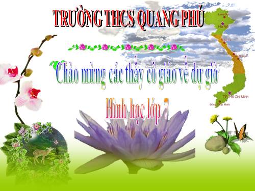 Chương II. §1. Tổng ba góc của một tam giác