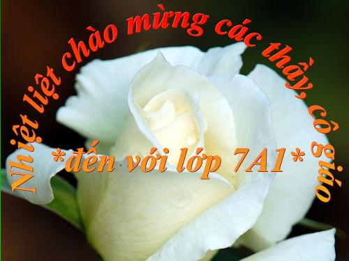 Chương II. §5. Trường hợp bằng nhau thứ ba của tam giác: góc-cạnh-góc (g.c.g)