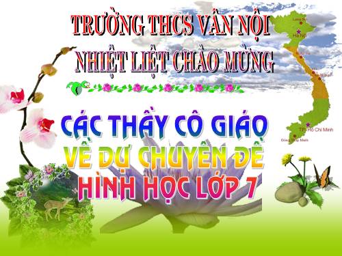 Chương II. §1. Tổng ba góc của một tam giác