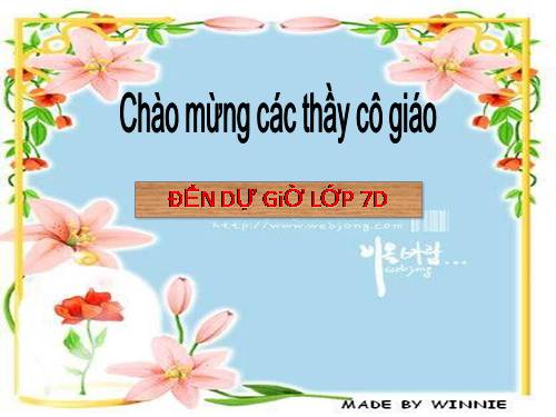 Các bài Luyện tập