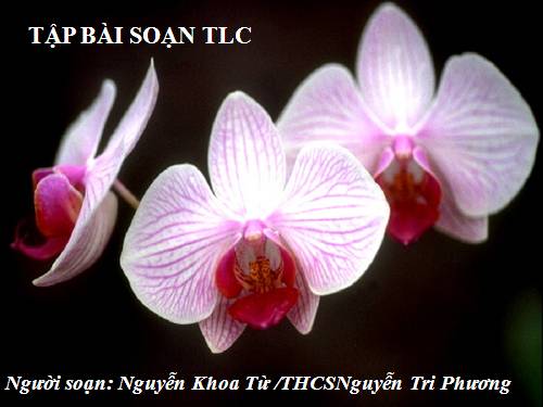 Chương III. §5. Tính chất tia phân giác của một góc