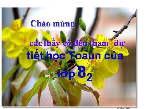 Chương II. §8. Các trường hợp bằng nhau của tam giác vuông