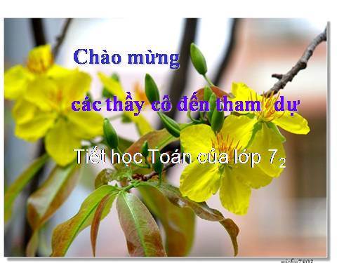 Các bài Luyện tập