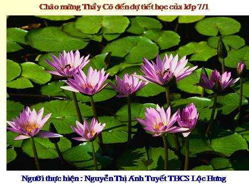 Chương III. §4. Tính chất ba đường trung tuyến của tam giác