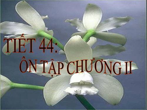 Ôn tập Chương II. Tam giác