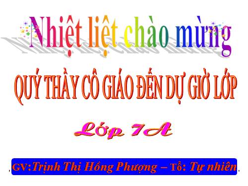 Chương II. §1. Tổng ba góc của một tam giác