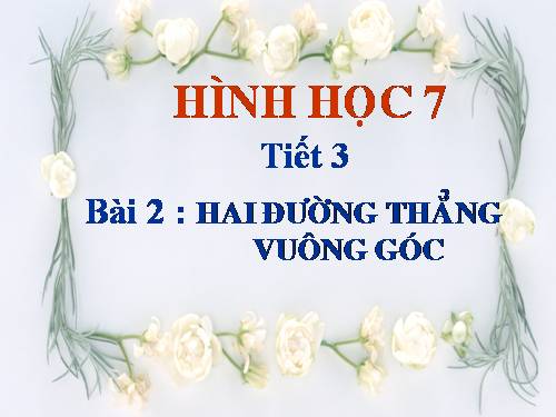 Chương I. §2. Hai đường thẳng vuông góc