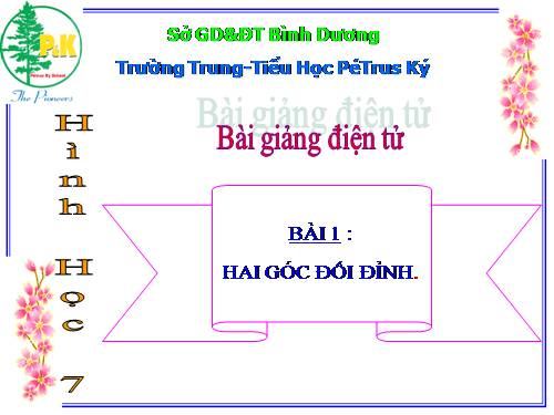 Chương I. §1. Hai góc đối đỉnh