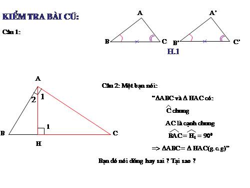 Các bài Luyện tập