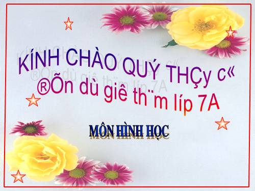 Các bài Luyện tập