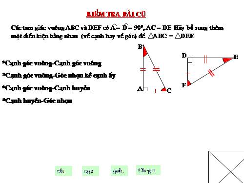 Các bài Luyện tập