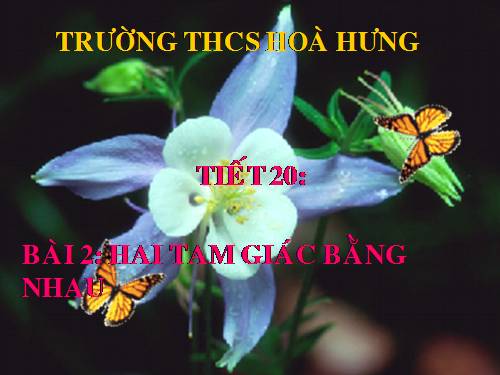 Chương II. §2. Hai tam giác bằng nhau