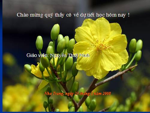 Chương II. §6. Tam giác cân