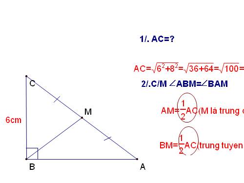 Các bài Luyện tập