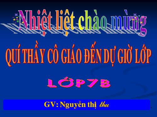 Các bài Luyện tập