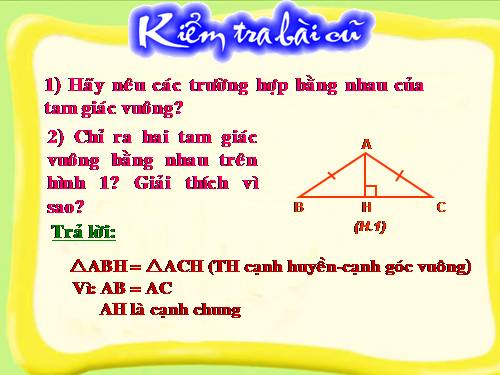 Các bài Luyện tập