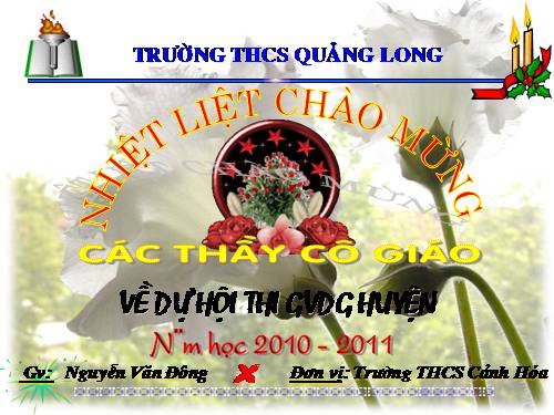 Các bài Luyện tập