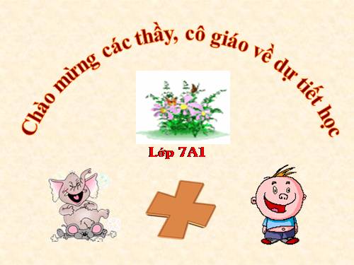 Các bài Luyện tập