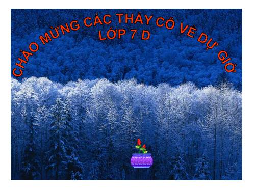 Các bài Luyện tập