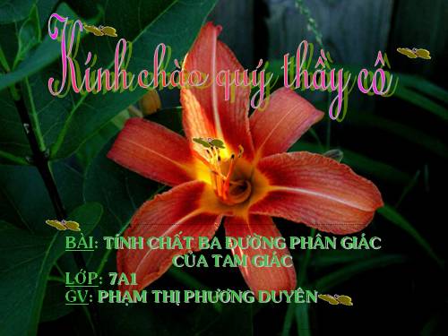 Chương III. §6. Tính chất ba đường phân giác của tam giác