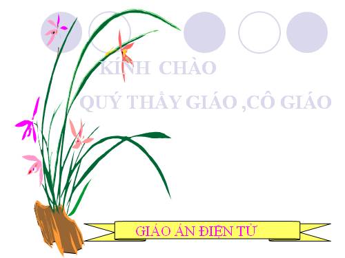 Chương II. §1. Tổng ba góc của một tam giác