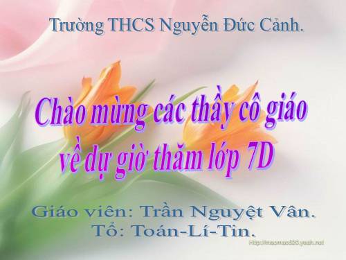 Các bài Luyện tập